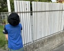 子どもと一緒に楽しく簡単に目隠しができました(レッドシダー) 子どもと一緒に楽しく簡単に目隠しができました(レッドシダー)