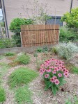 木製目隠しフェンス（アイアンウッド　メッシュフェンス用）