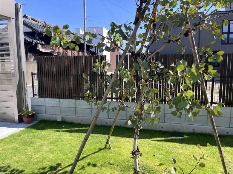 木製目隠しフェンス（メッシュフェンス用）設置完了