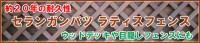 セランガンバツラティスフェンス